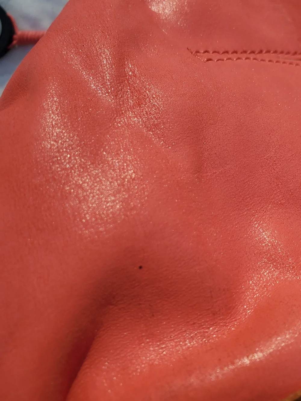 The Sak Coral and Brown Women's Leather Bag with Beaded Accent - Picture 10 of 10